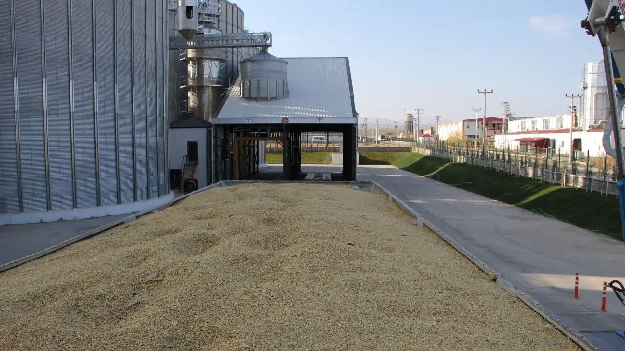 Iğdır'da rekor rekolte: 45 bin tonun üzerinde hasat yapıldı
