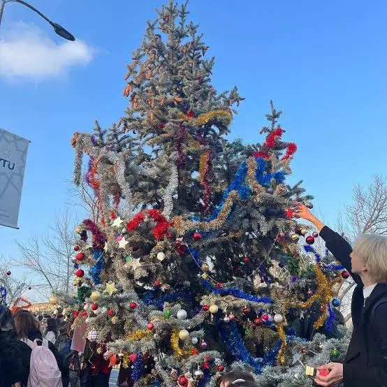 Yıldızlı Ağaç kampüs görüntüsü
