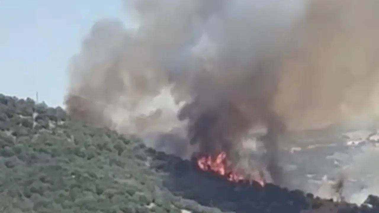 Balıkesir'de orman yangını çıktı