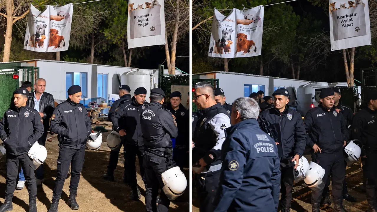 İzmir Ege Üniversitesi'ne gece yarısı baskını... Yaklaşık 200 köpek toplatıldı, kampüste arbede yaşandı!