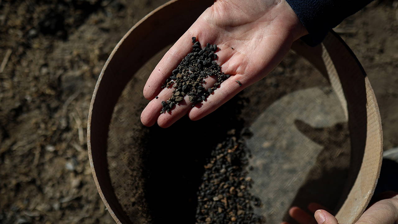Van'da 5 bin yıllık karbonlaşmış arpa taneleri bulundu