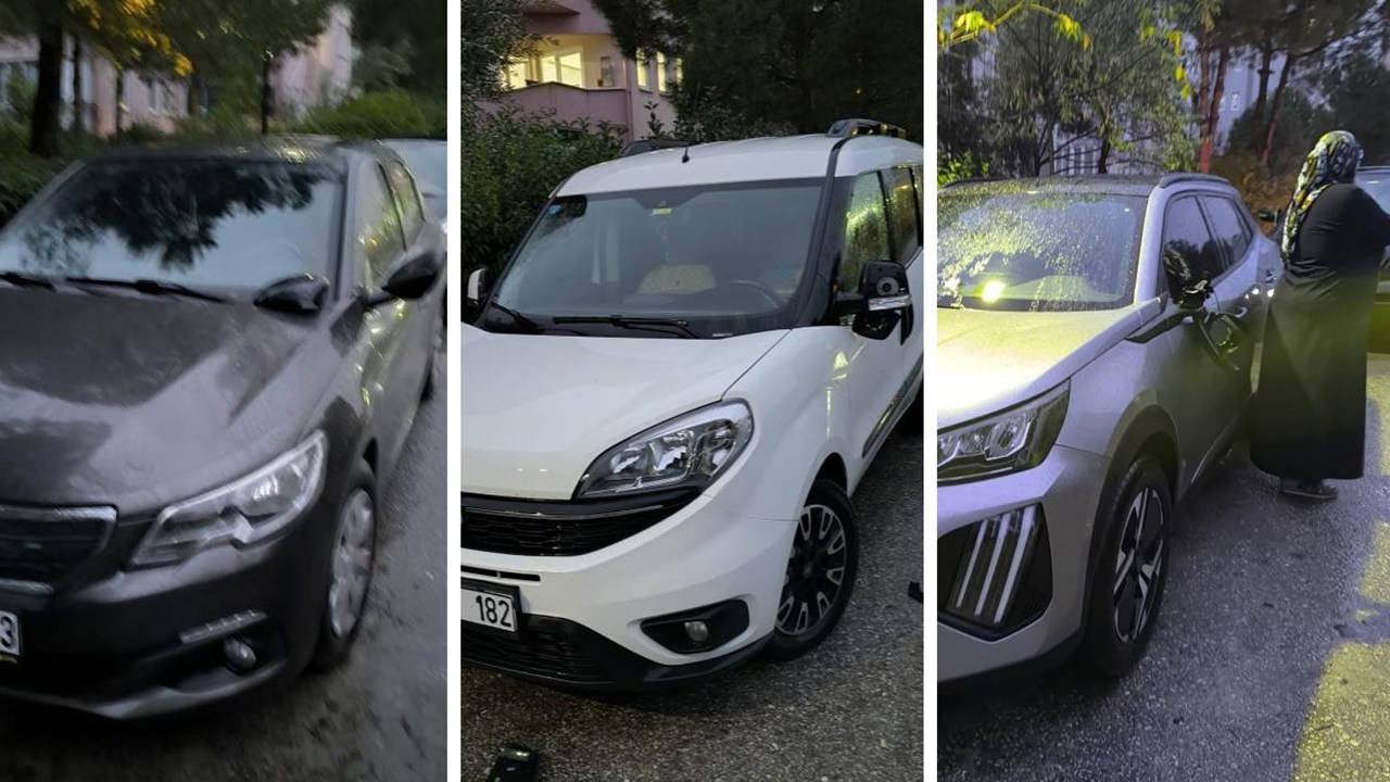 Avukat, 40 araca zarar verdi