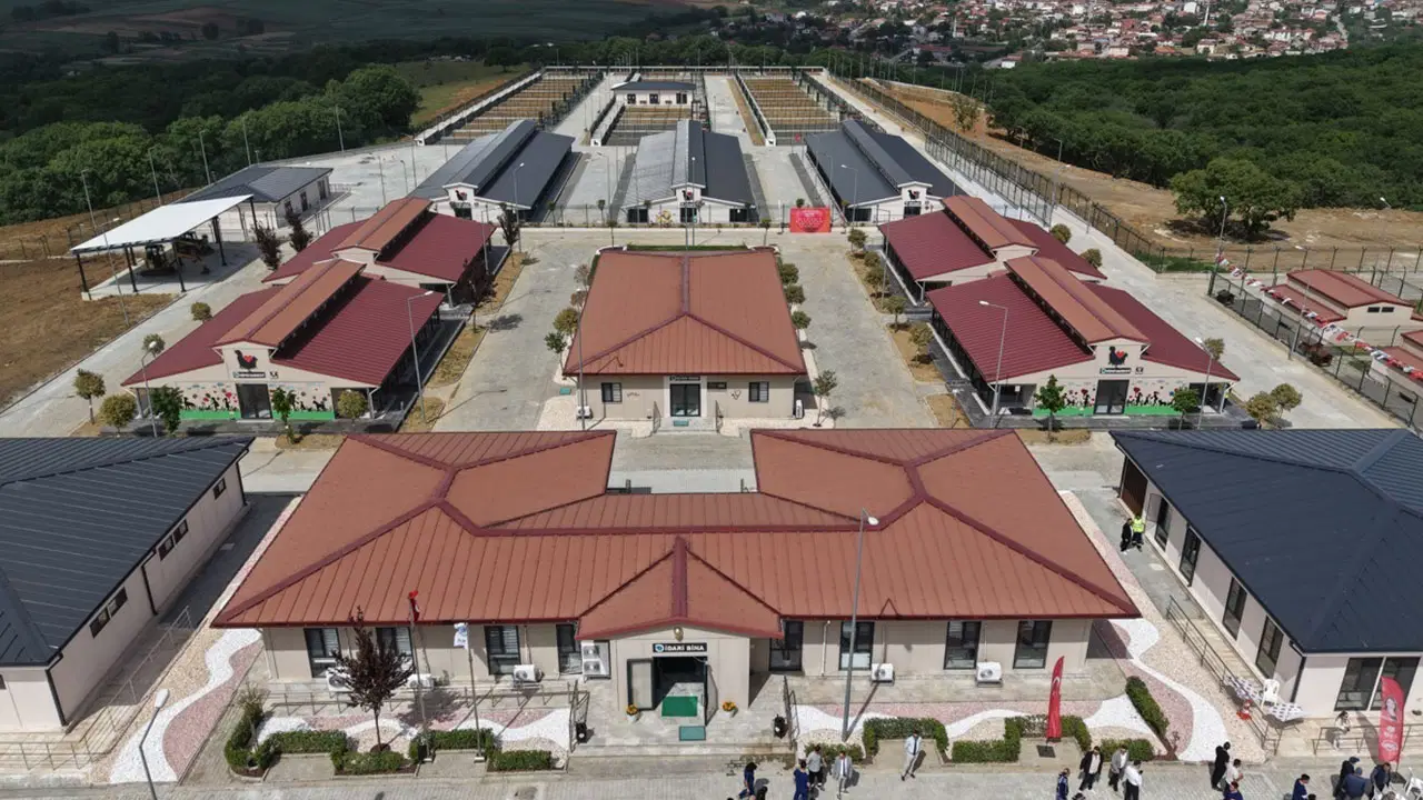 Tekirdağ Büyükşehir Belediyesi'nden yaşayan can dostlara kapsamlı destek