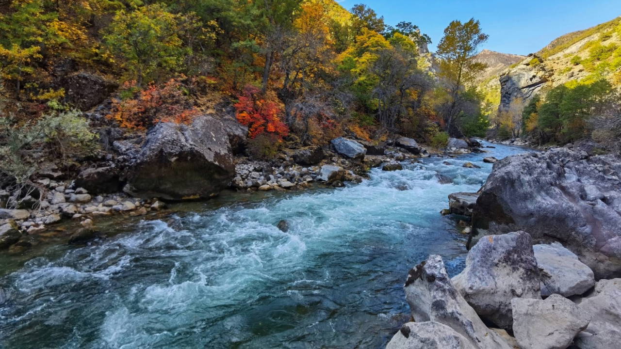Munzur’da baraj ve HES projelerine mahkemeden ret 