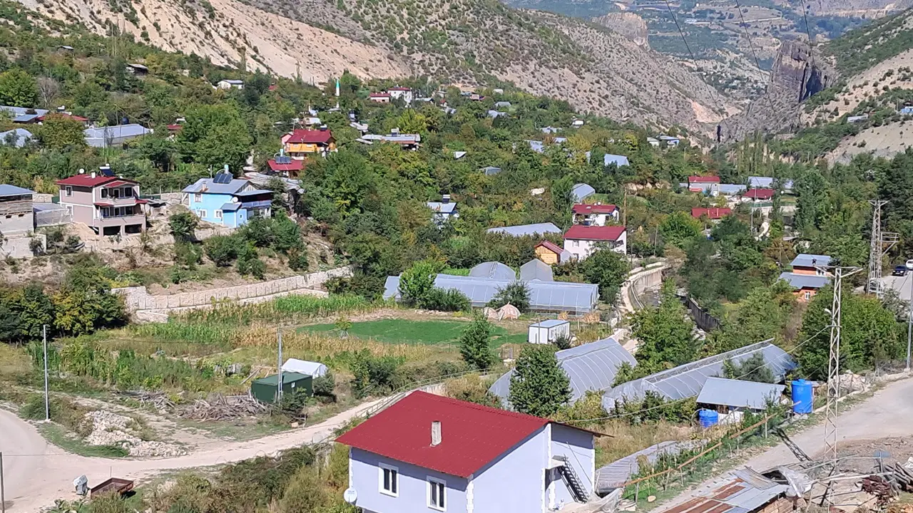 Artvin’de sandık kuruldu... Belediye sınırlarına dahil olmaya ‘hayır’ dediler