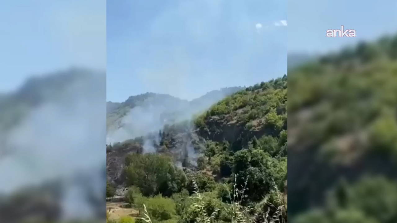Sinop'ta orman yangını: 10 hektarlık alan zarar gördü