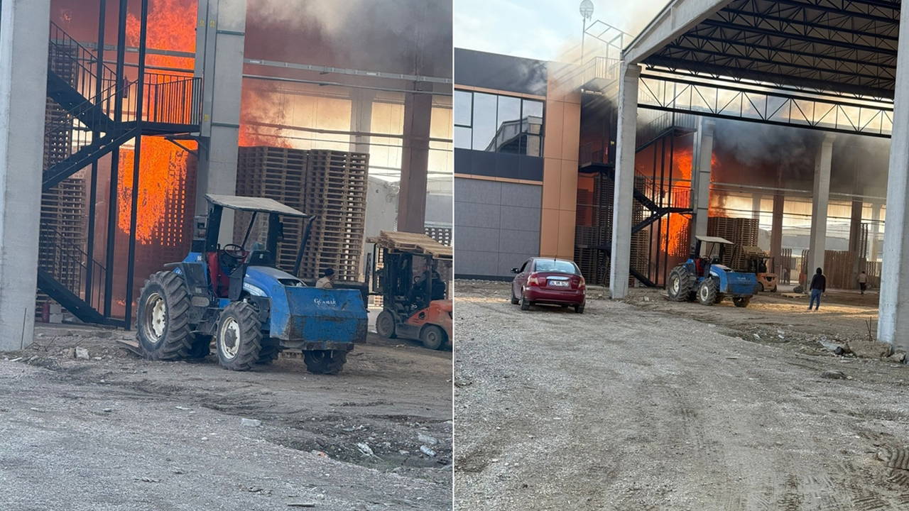 Bursa'da palet fabrikasında yangın paniği: 1 yaralı