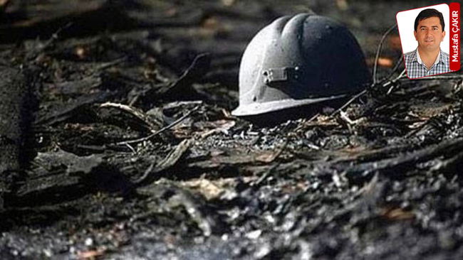 Zonguldak’ta nadir toprak elementi