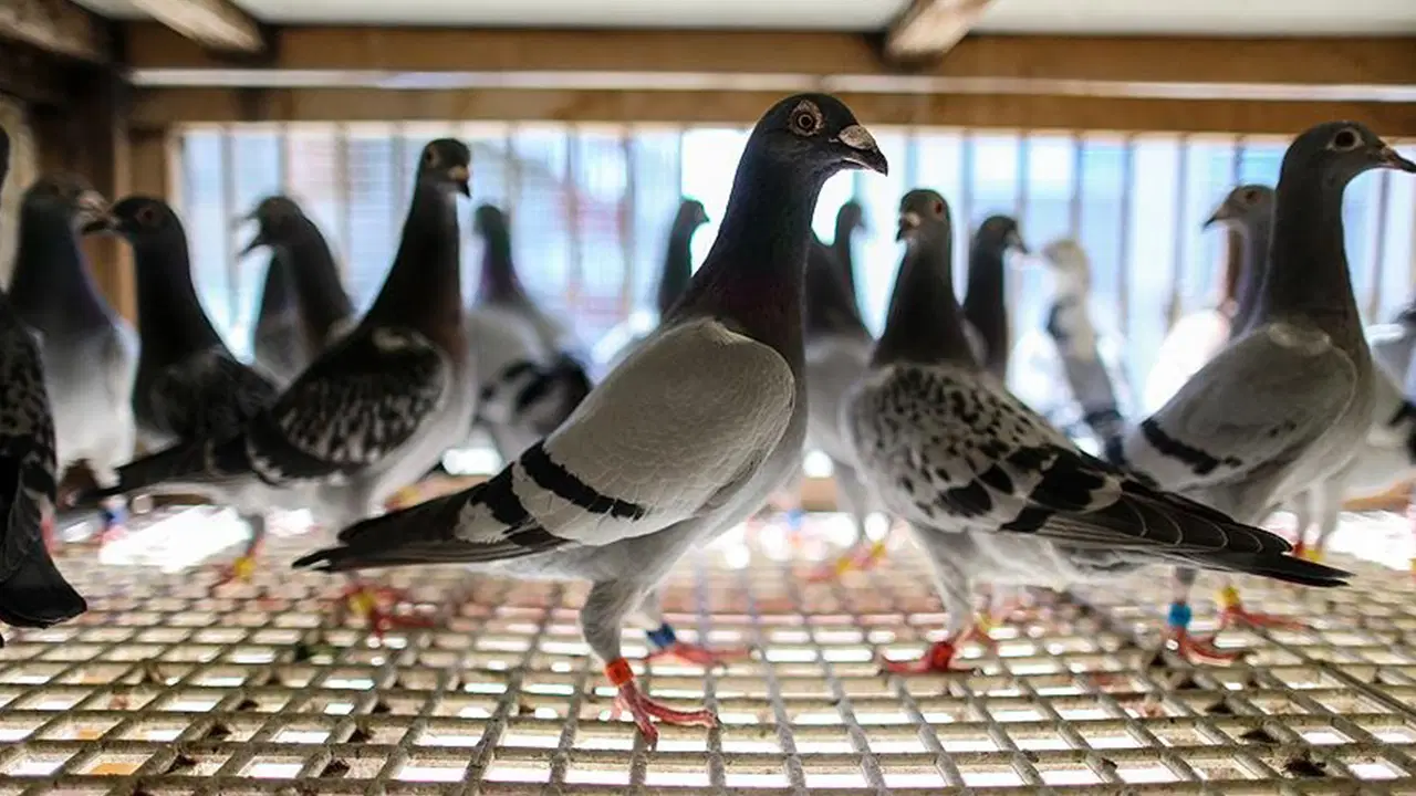 CHP'li isimden tepki: 'Tek tek değer biçilip...'