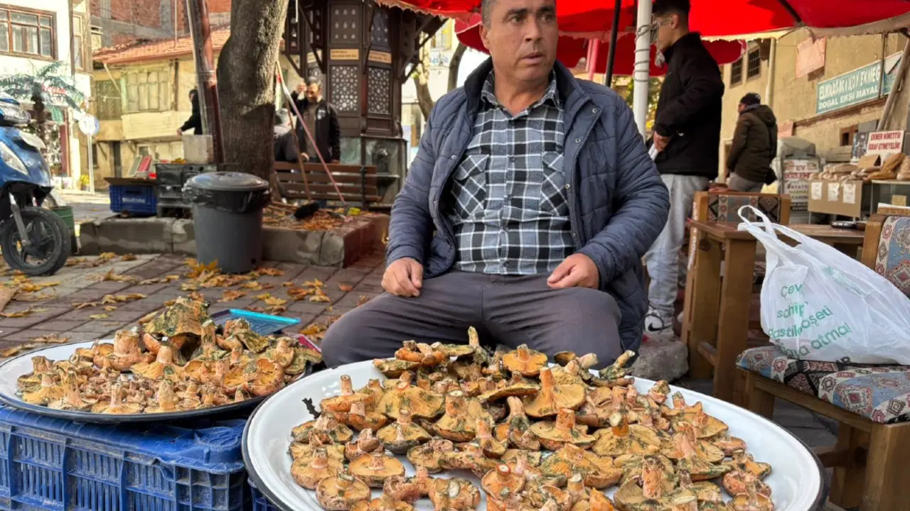 Dağ köylülerinin geçim kaynağı: Hasadı kar yağana kadar sürecek