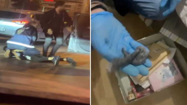 Maltepe'de 'uyuşturucu' operasyonu: 2 şüpheli tutuklandı