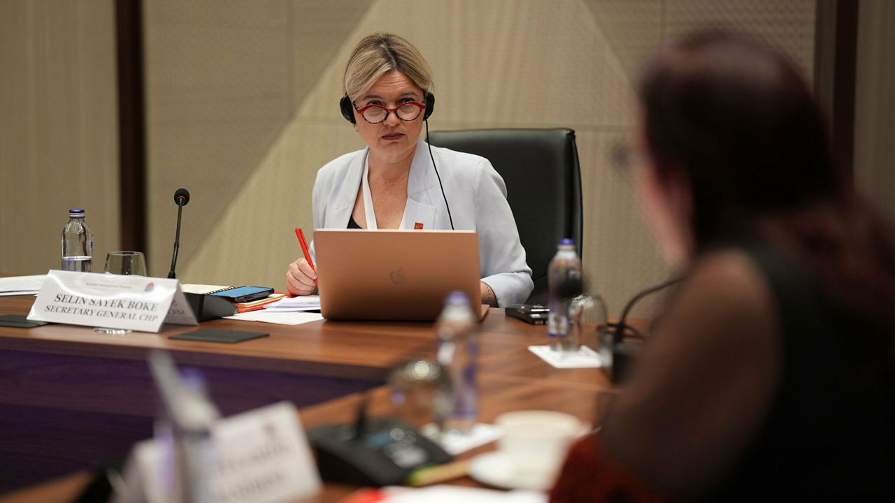 Selin Sayek Böke, Kadın Sosyalist Enternasyonal Başkan Yardımcılığı'na seçildi