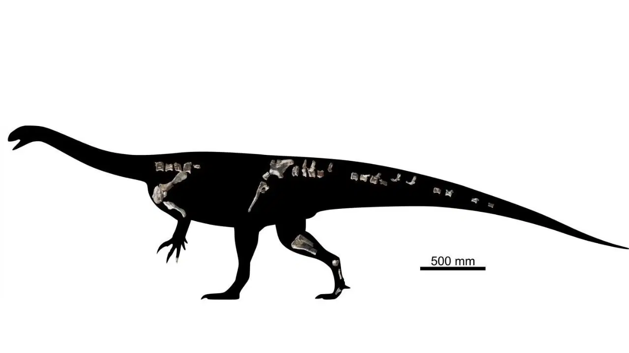 210 milyon yıllık yeni bir dinozor türü keşfedildi