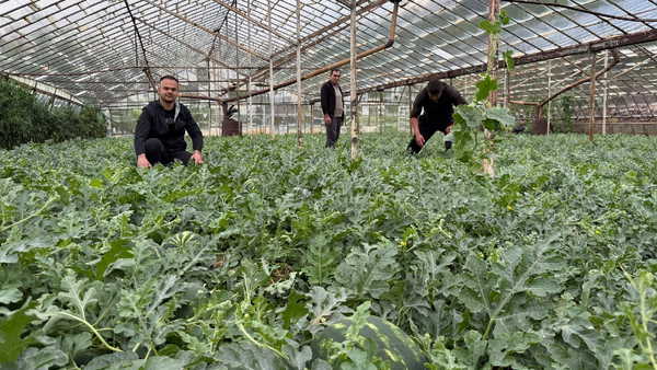 Antalya’da ezber bozan hasat: Yaz gelmeden tezgaha indi!