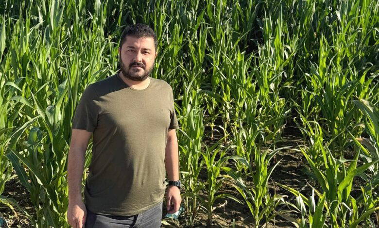CHP’li Baran Yazgan’dan iktidara ayçiçeği tepkisi: ‘Çiftçiyi değil, ithalatçıyı tercih ettiler’