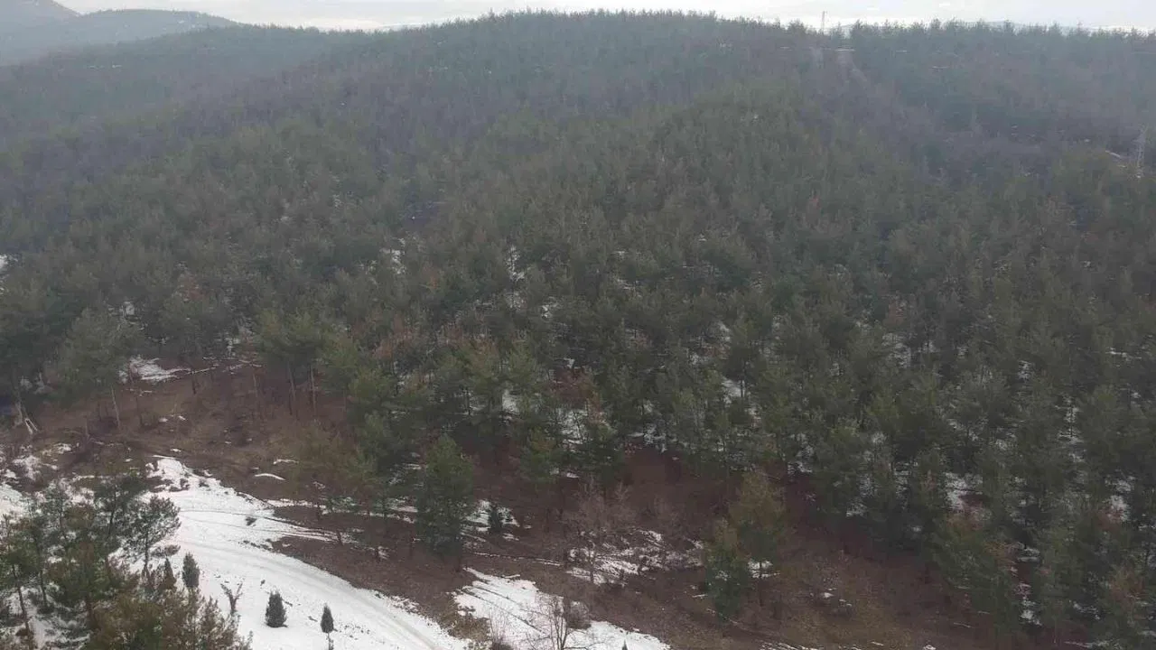 Adrese teslim madenin ÇED süreci başladı!