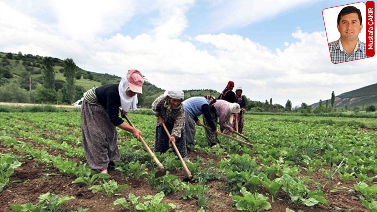 Çiftçinin faiz yükü geri çekildi, kredi limiti yerinde saydı