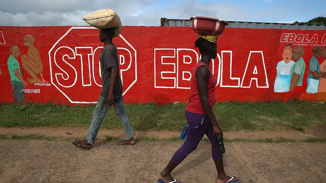 DSÖ alarma geçti: Nadir Ebola türü yayılıyor