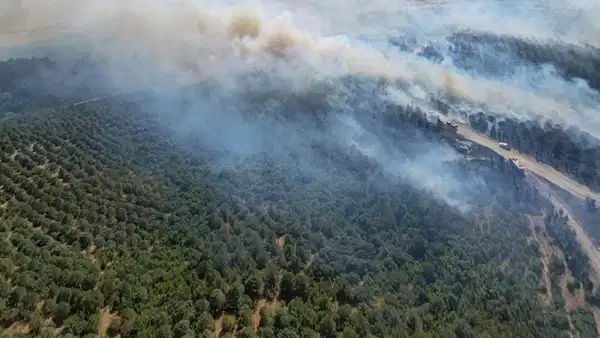 Balıkesir Susurluk'ta orman yangını: Havadan ve karadan müdahale sürüyor