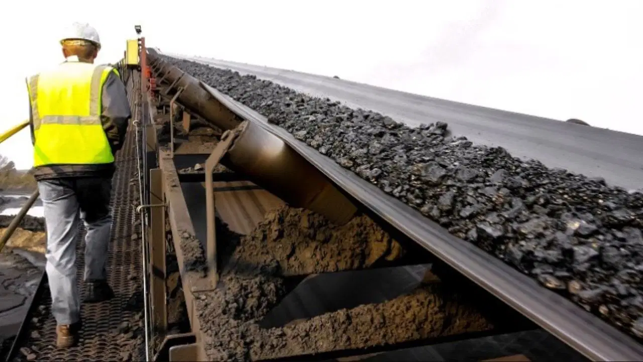 Sürveyan nedir, ne demek? Sürveyan ne iş yapar?