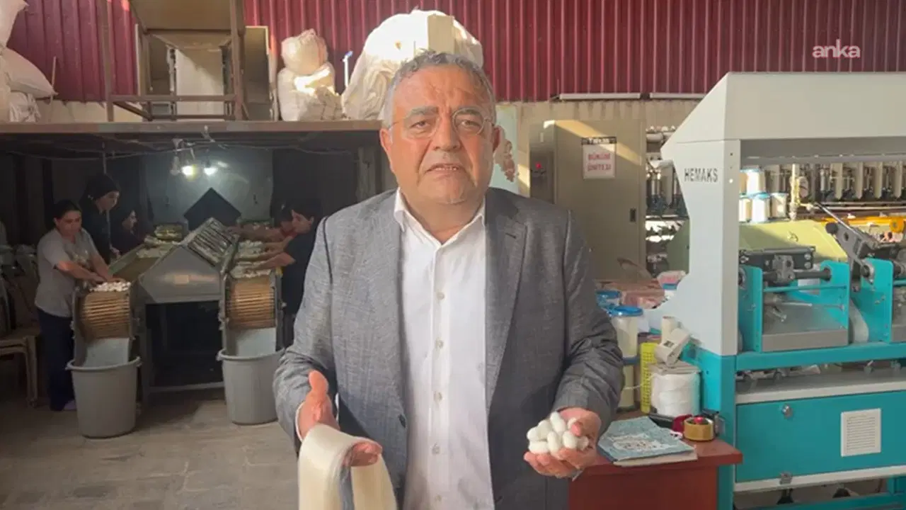 Sezgin Tanrıkulu'ndan Kulp'taki 'ipek kozası üreticileri' için çağrı: 'Türkiye'deki üretimin yüzde 70'i burada, destek şart'