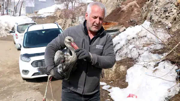 Donmak üzereyken bulduğu leyleği, 2,5 aylık bakım sonrası doğaya bıraktı