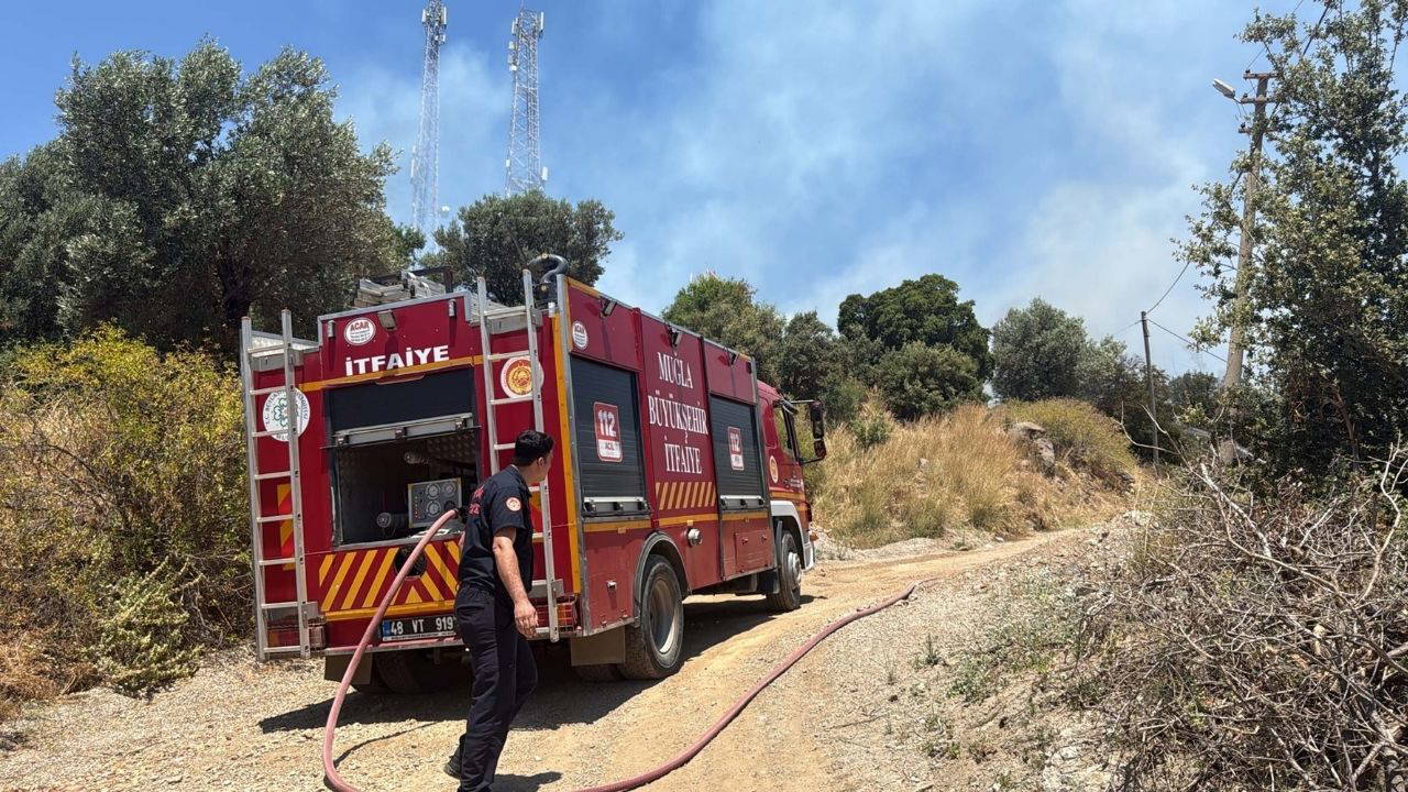 Bodrum'da korkutan maki yangını: Elektrik telleri ark yaptı,