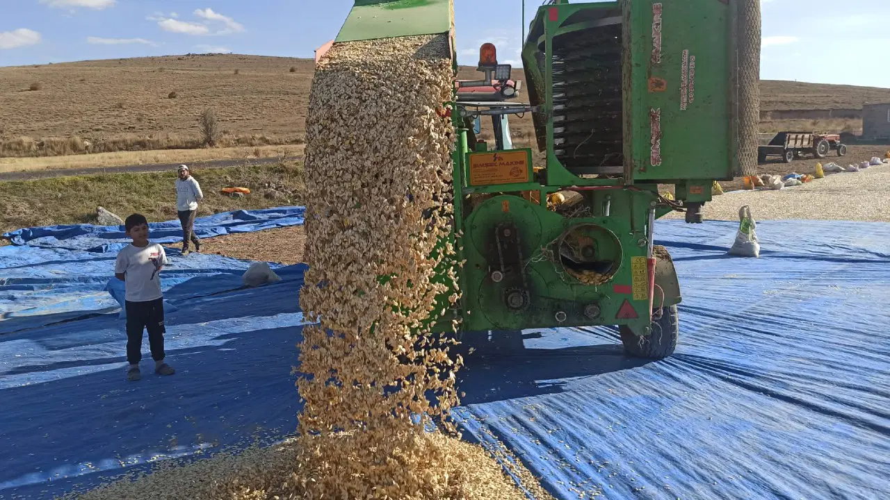 Ekim alanı 2,5 katına çıktı! Tarladaki diğer ürünleri söktüler, ona yöneldiler...
