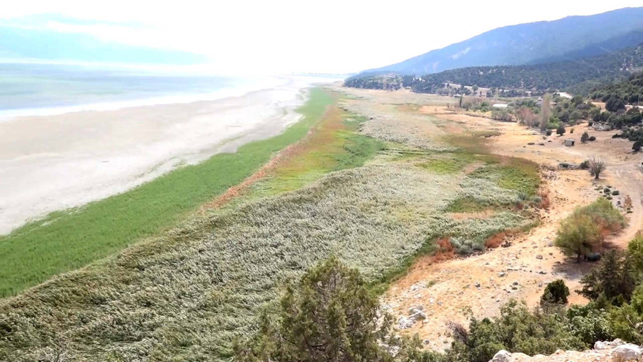 Suyu çekilince ikiye bölünen Eğirdir Gölü, hayvanların otlağı oldu