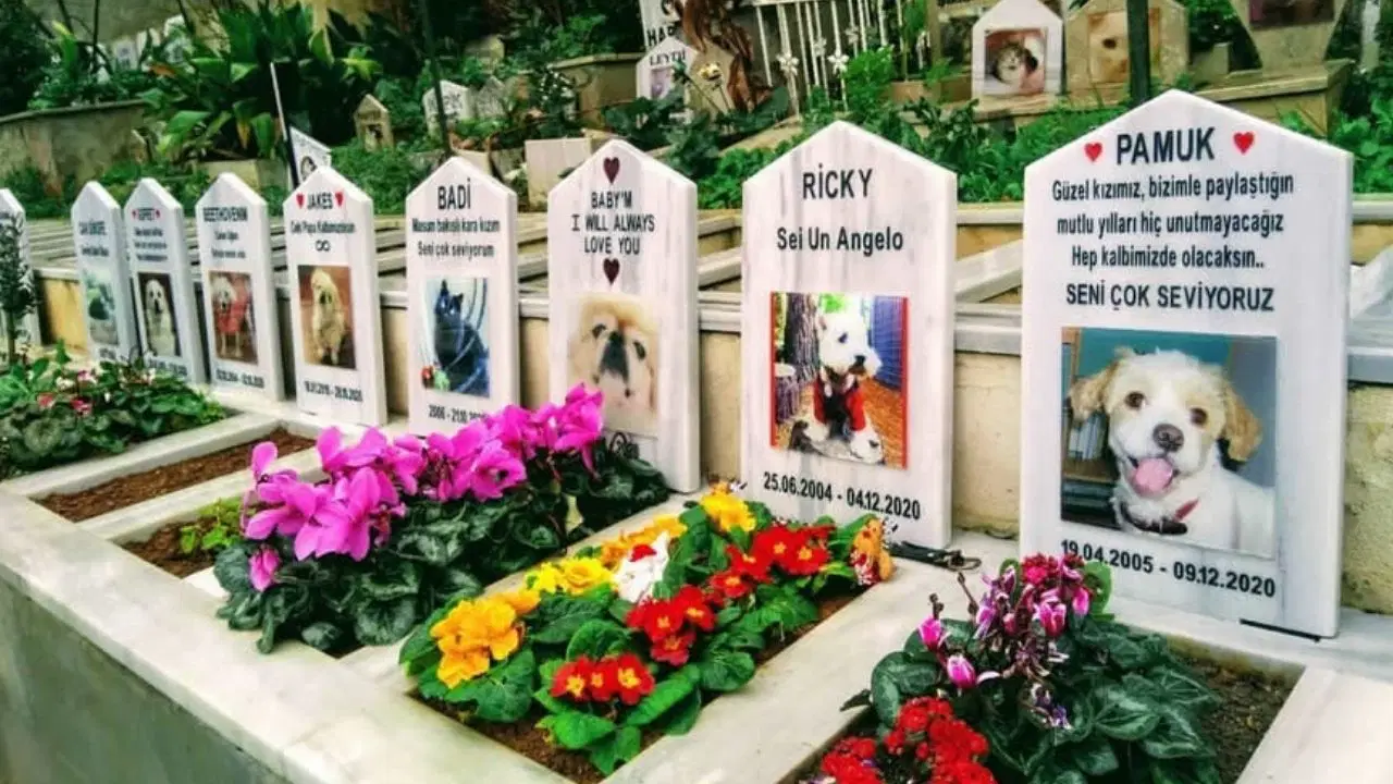 Son Dakika Haber Görseli