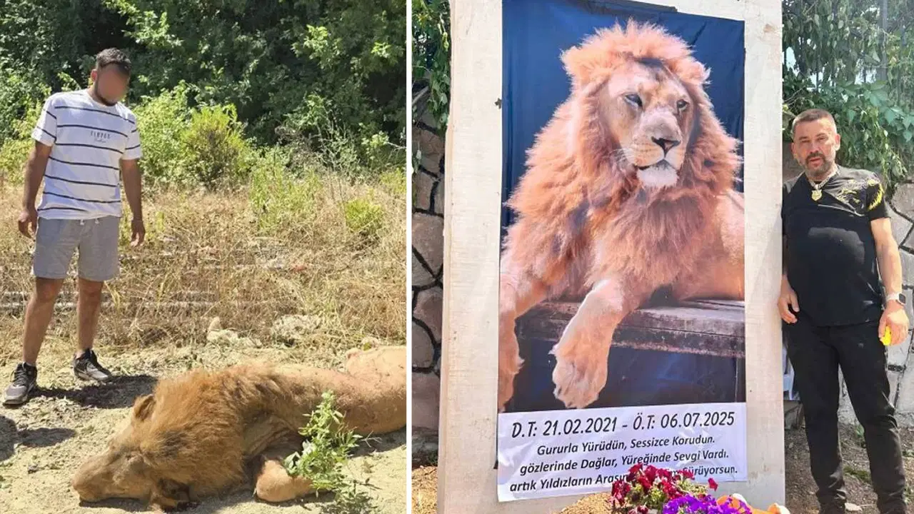 Antalya'da katledilmişti: Zeus'un öldürülmesine ilişkin suç duyurusu