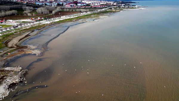 Van Gölü kıyılarında endişelendiren görüntü: Suyun rengi kahverengiye döndü