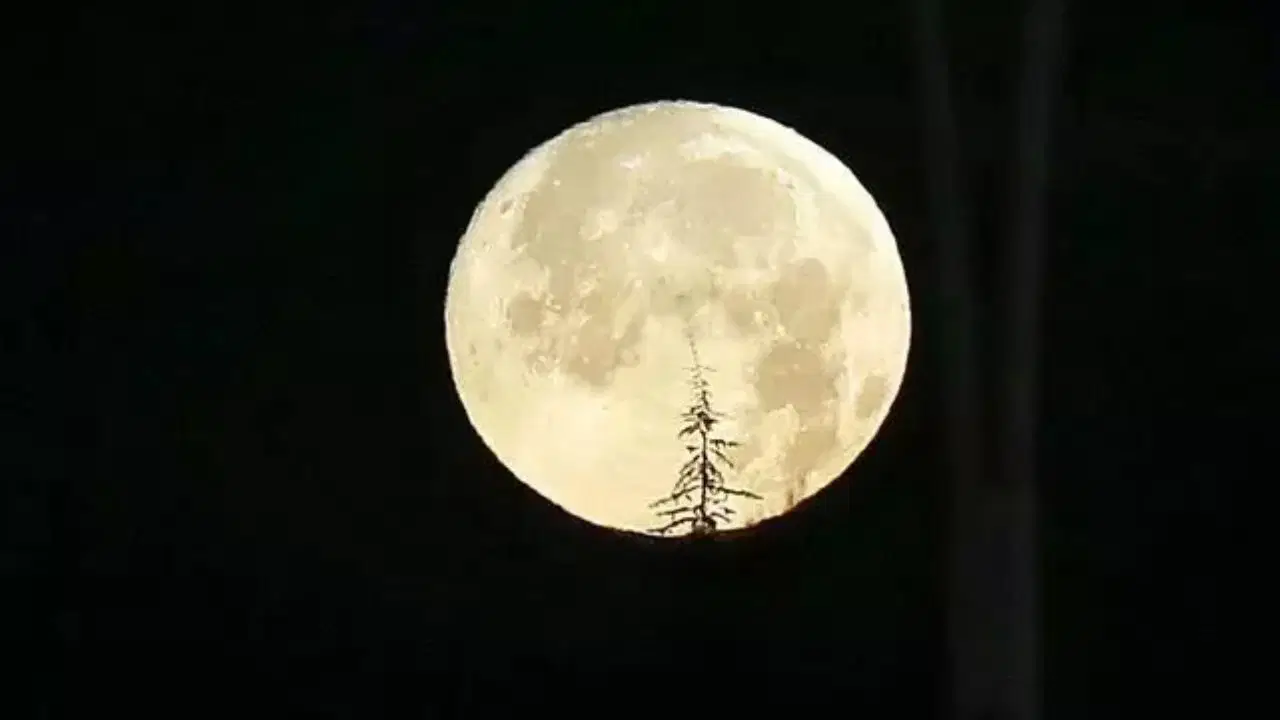 En uzun gecede ne yapılır? Kış gündönümünü özel kılan 12 aktivite