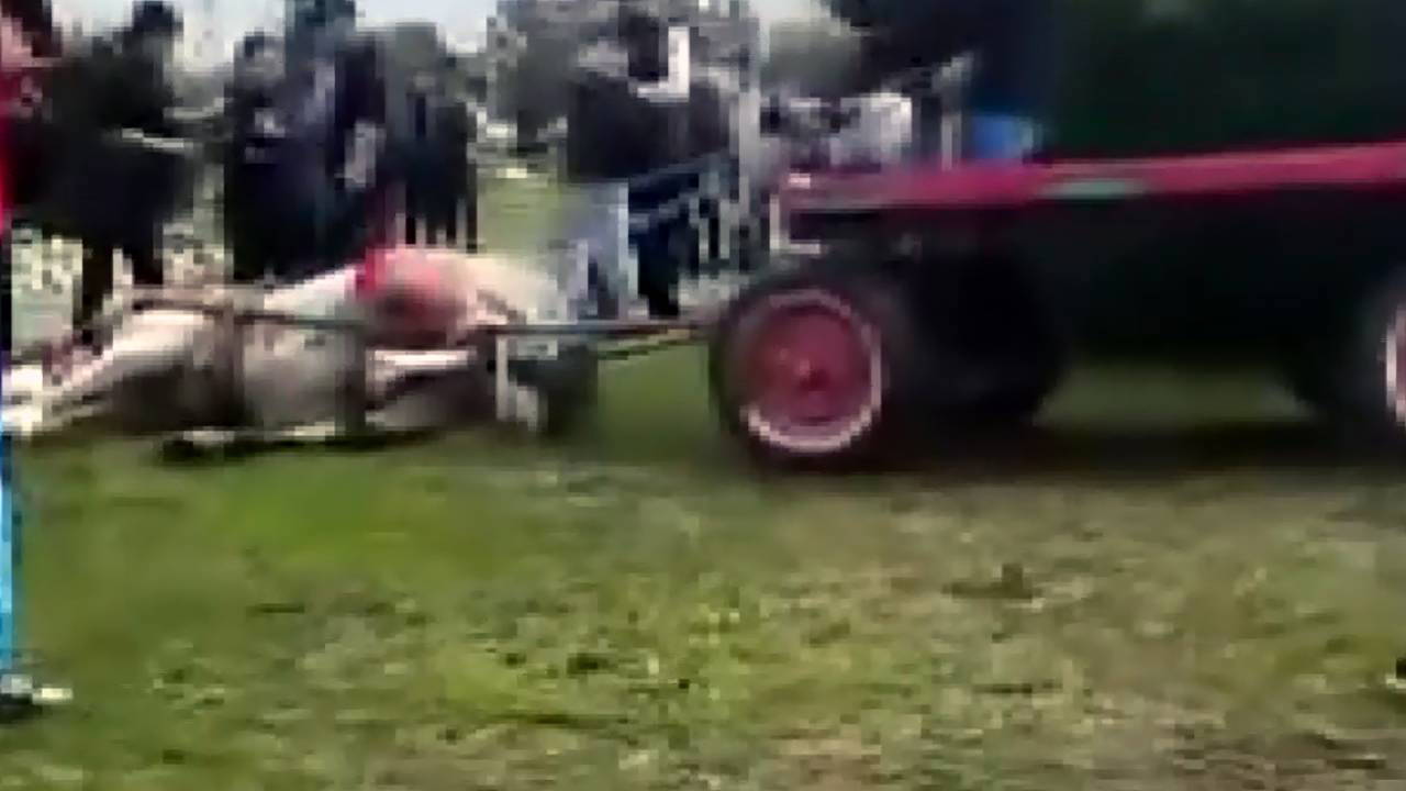 Atlara şiddet uygulayan şüphelilere hayvan barınağında çalışma cezası