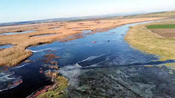 Sıcaklık eksi 8 derece... Edirne'de Tunca Nehri ve gölet buz tuttu