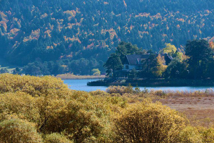 Sonbaharın büyüsünü keşfedin: Renk cümbüşüyle dolu en keyifli 6 sonbahar rotası