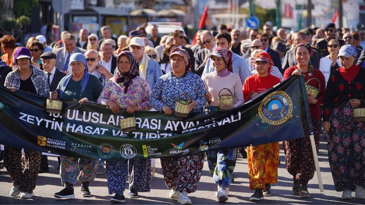 Ayvalık Zeytin Hasadı Festivali başlıyor 