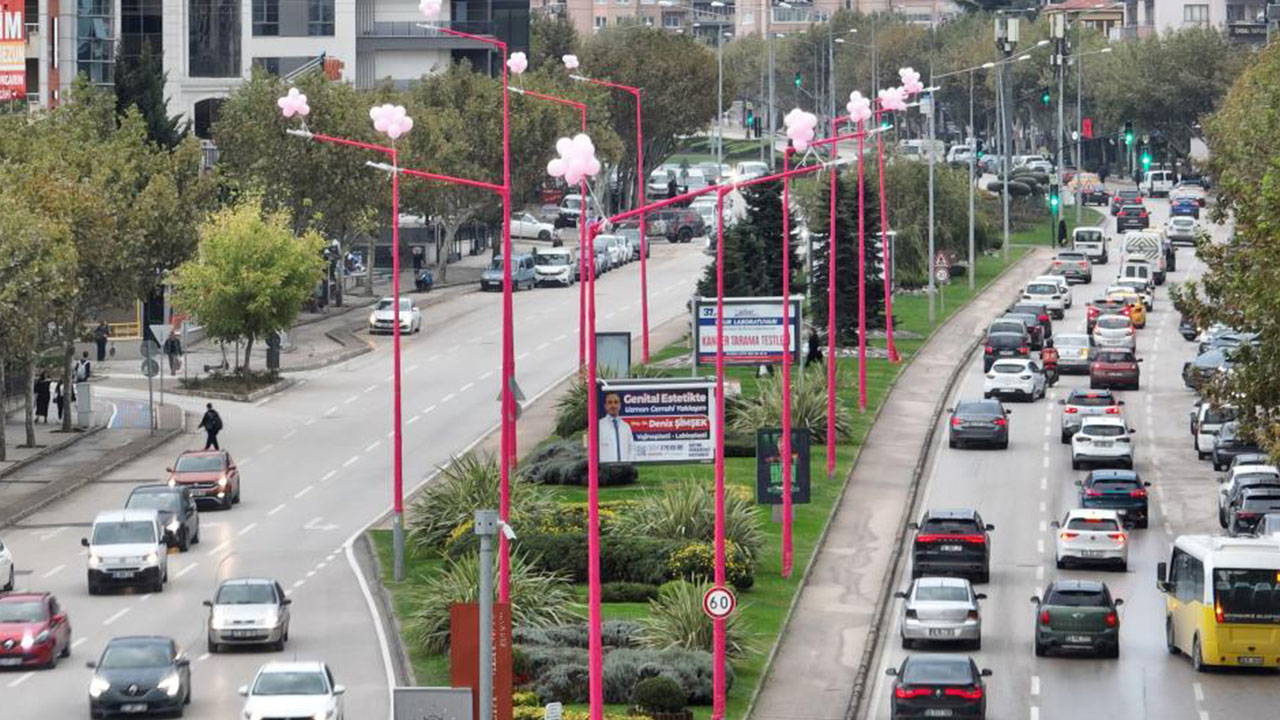 'Meme kanseri'nin erken teşhisi için sokak lambaları pembe yanıyor