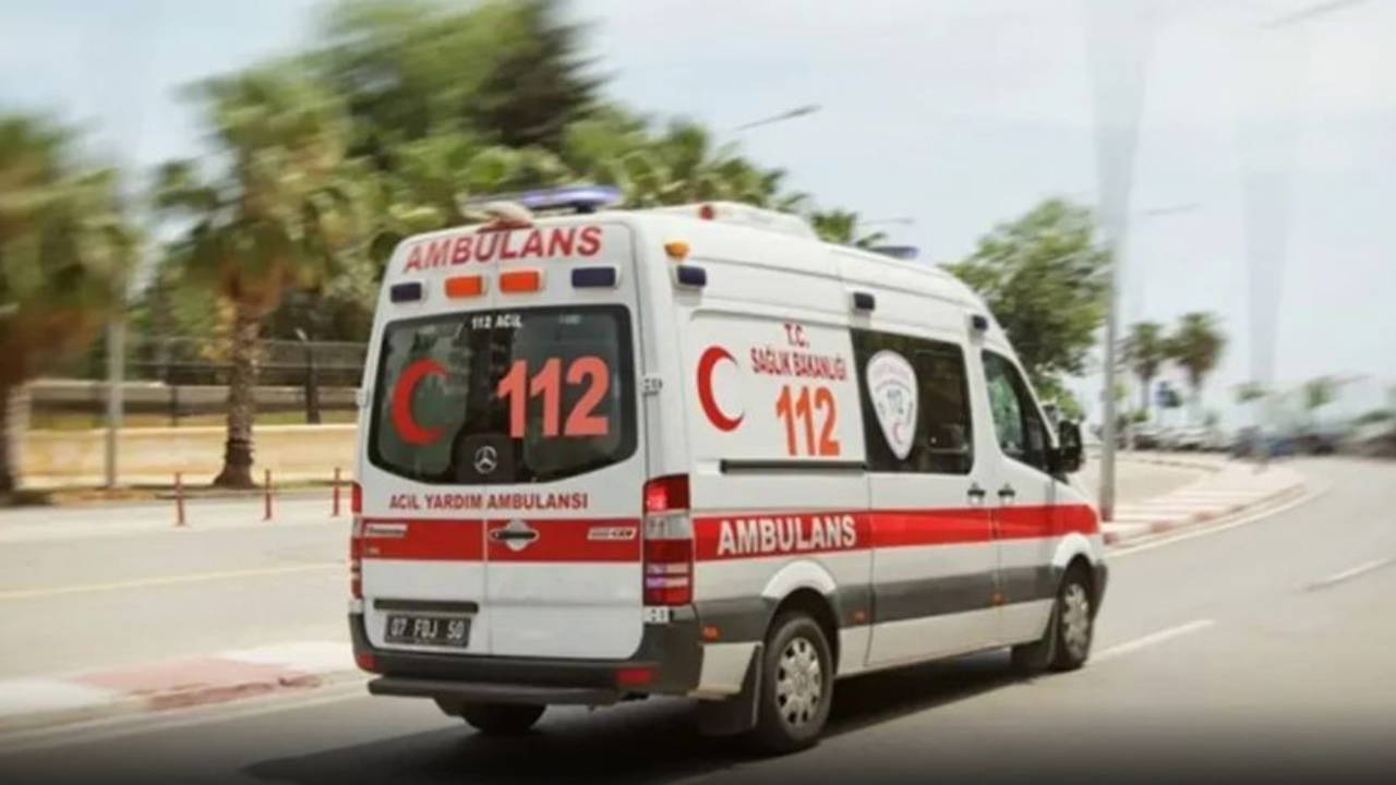 Üzerine ağaç dalı düşen genç kız hayatını kaybetti