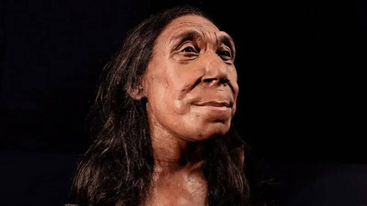 Mağarada Keşfedilen Yara: Neandertal’in Şiddet Geçmişine Yeni Bir Işık