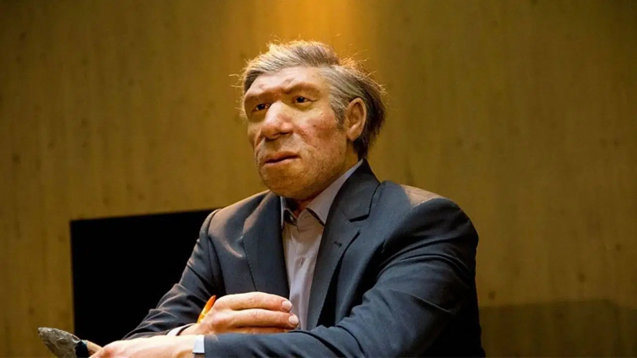 Neandertaller ilk matematikçiler olabilir: İnsanlığın sayılarla tanışması 1.7 milyon yıl öncesine dayandırıldı