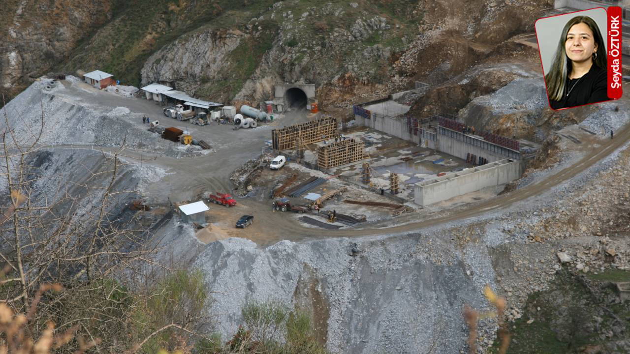 20 bin ağacı kesecekler!