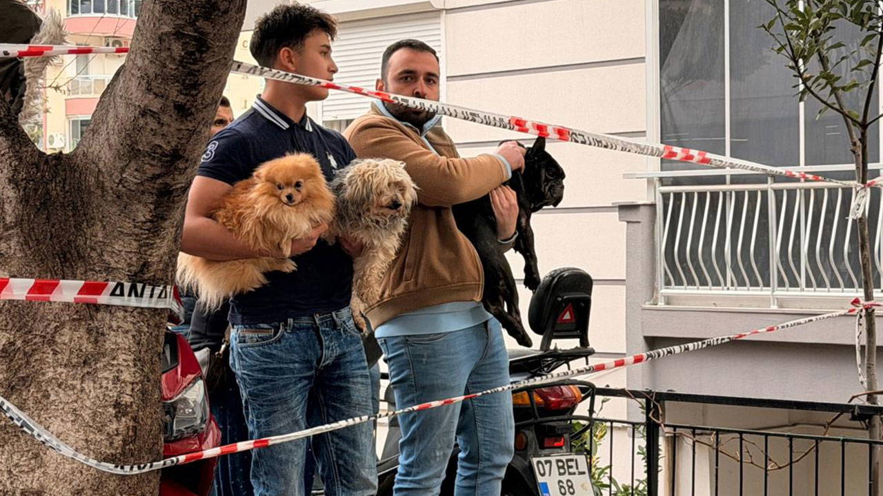 Antalya'da bir atölyede yangın çıktı: 4 köpek kurtarıldı