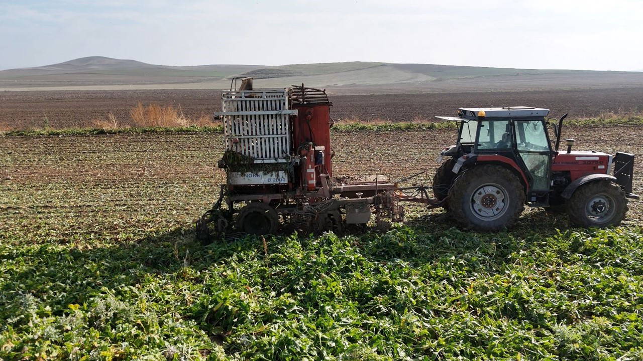 Ankara'da hasat tempo kesmiyor: Mesai gün doğmadan başlıyor...