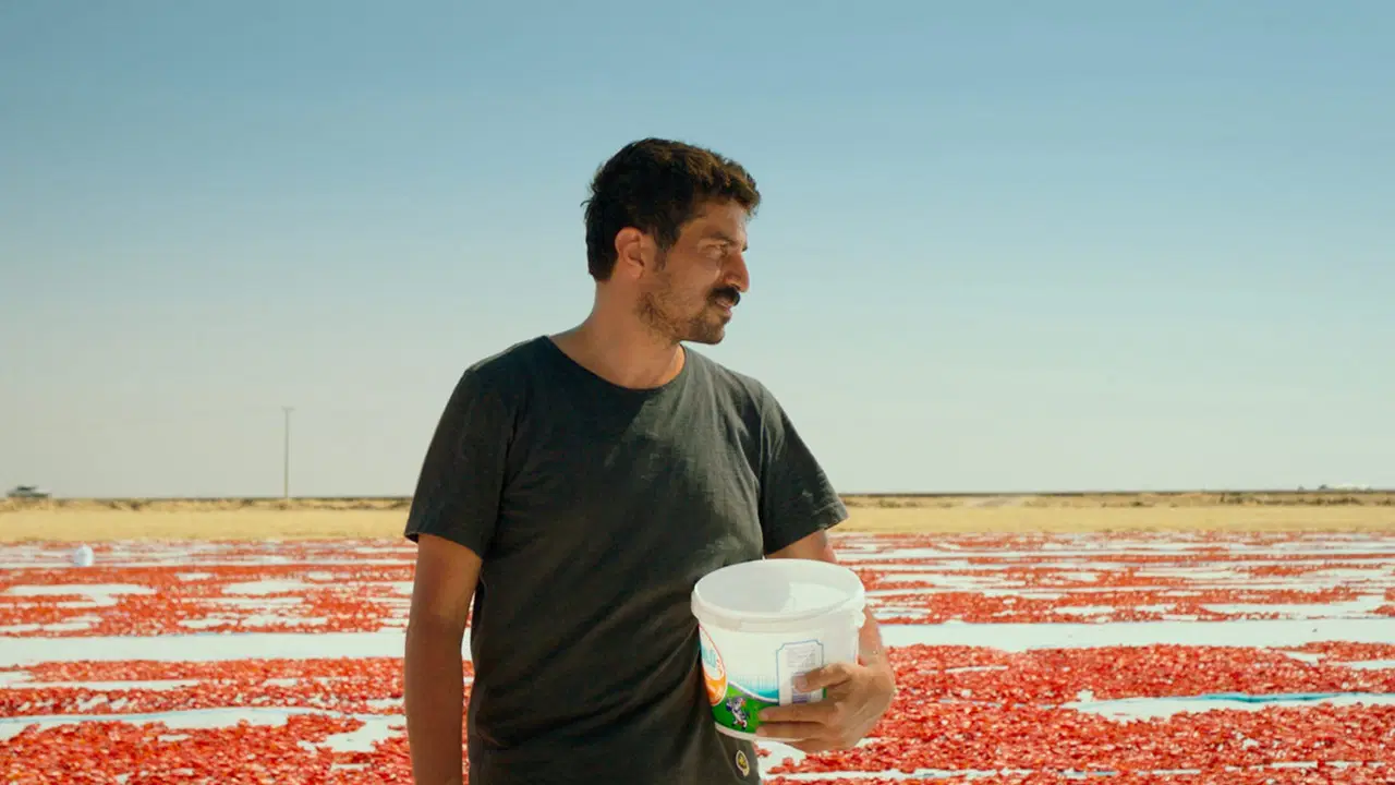 Türkiye'nin Oscar adayı belli oldu!