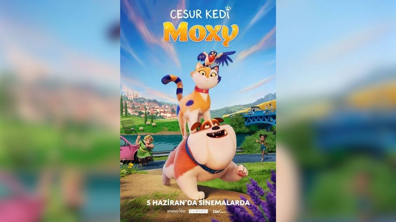 Bu hafta 7 film vizyona girecek...