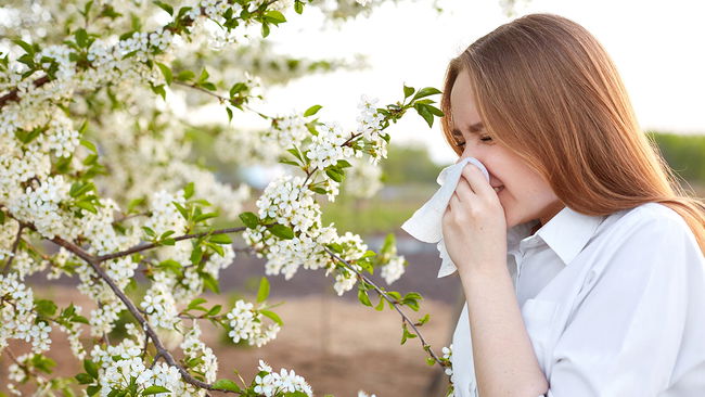 Uzmanından uyarı: Polen alerjisinde erken tedavi şart