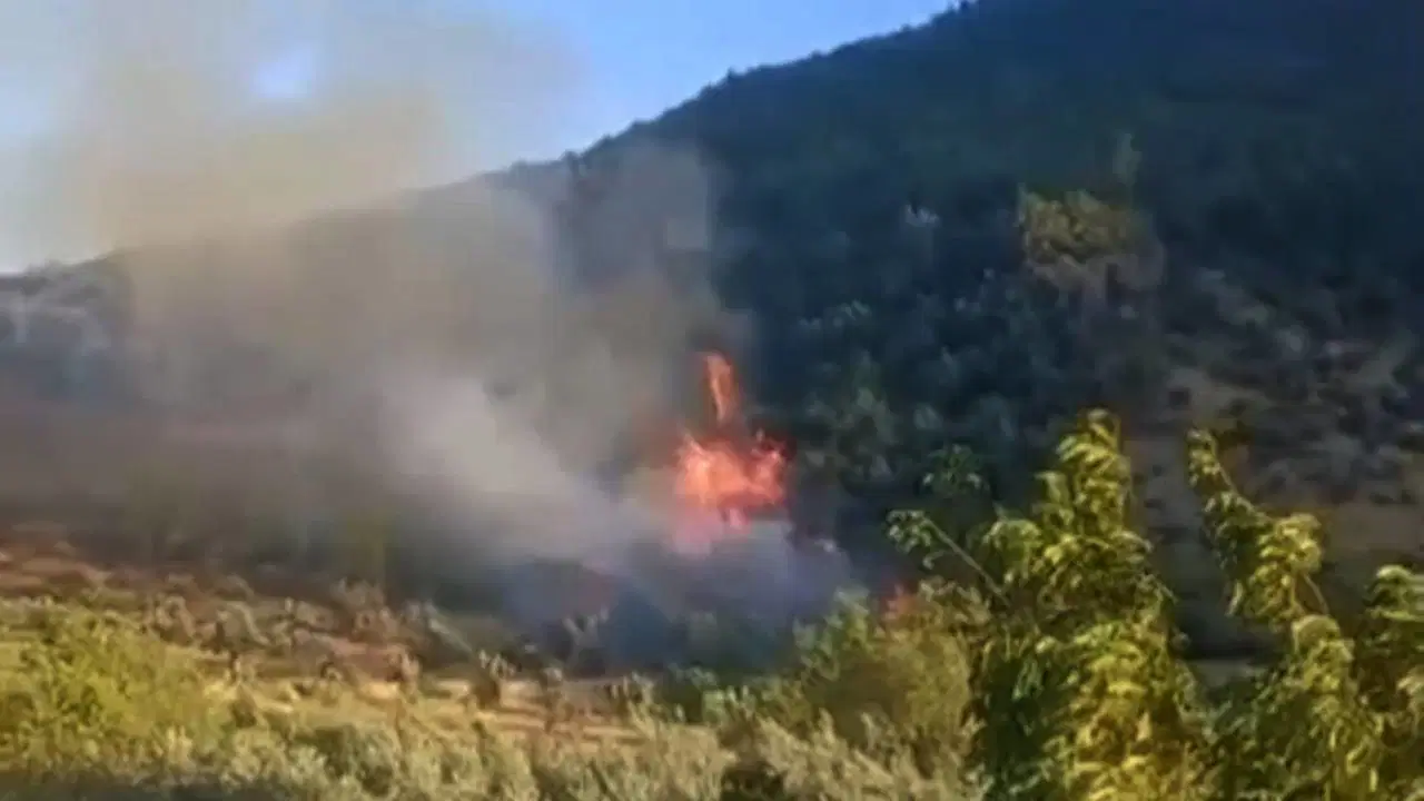 Gaziantep'te orman yangını