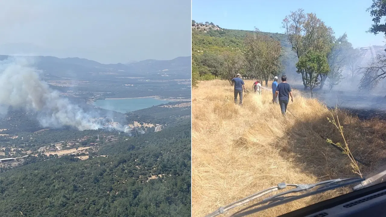 Çanakkale'de tarım arazisi ve merada yangın