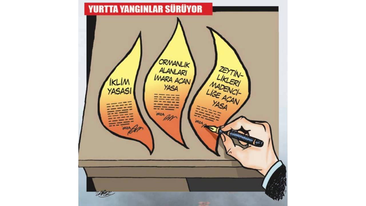 İğneli Fırça - 26 Temmuz 2025